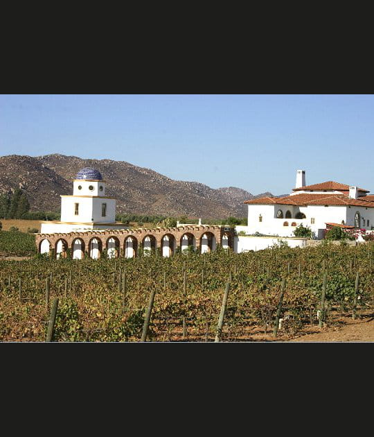 Vall&eacute;e Guadalupe, du vin dans le chocolat