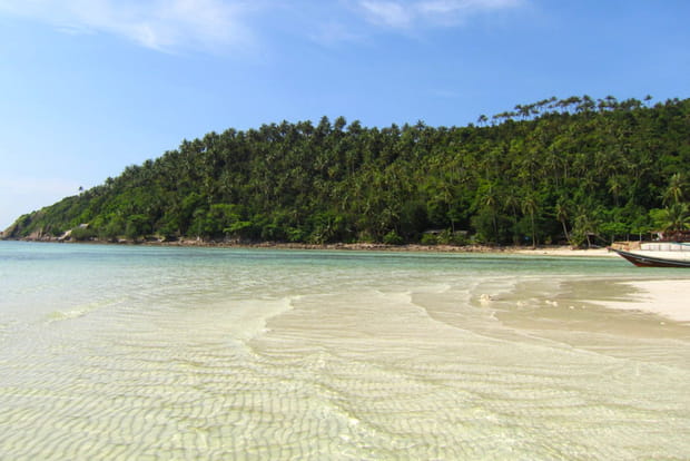 Salad Beach, festive