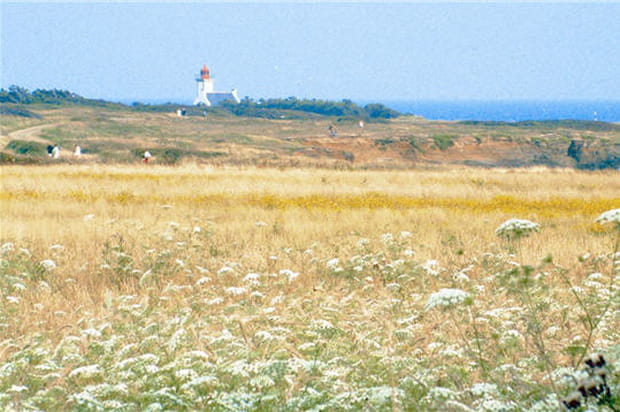 Phare de la Pointe des Chats