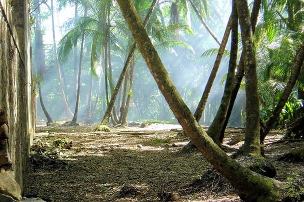 Quiétude et sérénité