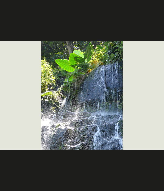 Cascade de Tahiti