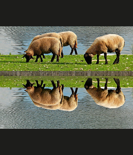 L'image de la semaine du 27 septembre