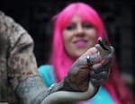 Snakes in the City