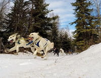 Into The Wild : Alaska : Première course de la saison