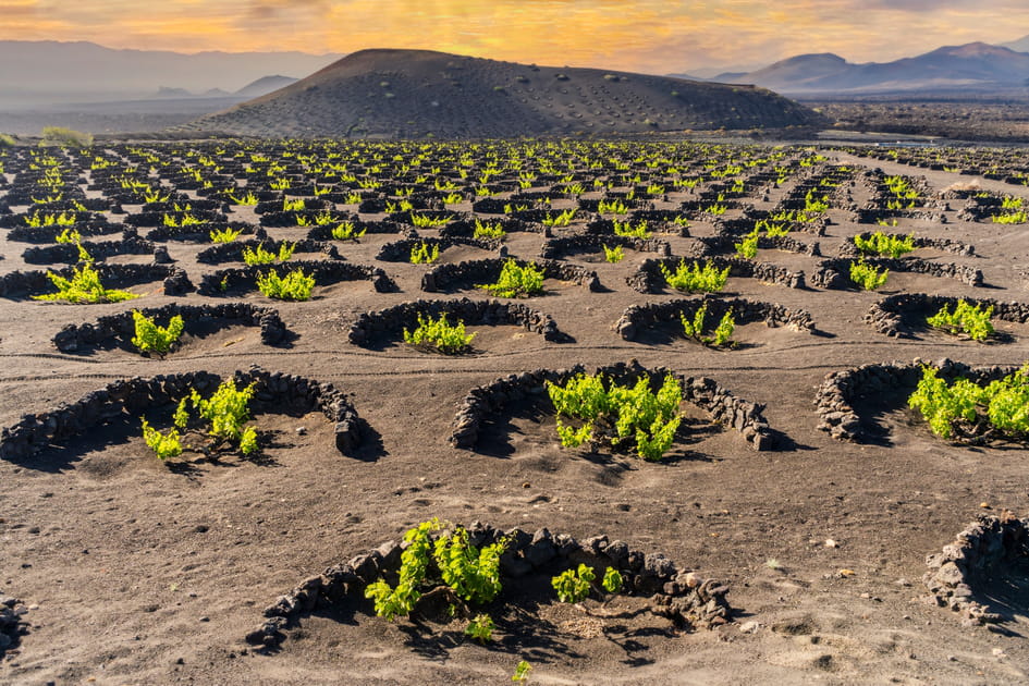 Cette destination explose et int&egrave;gre le top de TripAdvisor&nbsp;!