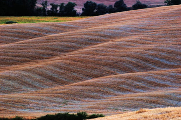 Les couleurs de la Toscane