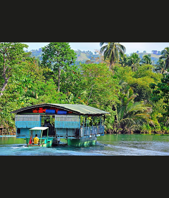 Au c&oelig;ur de la jungle de Bohol