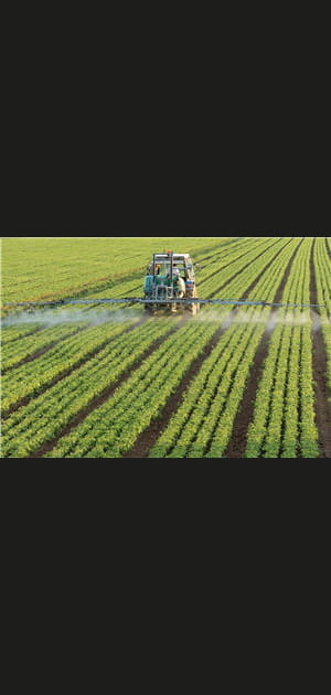 Investir dans des terres agricoles