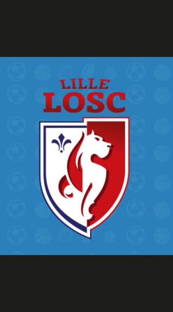 6e - Lille