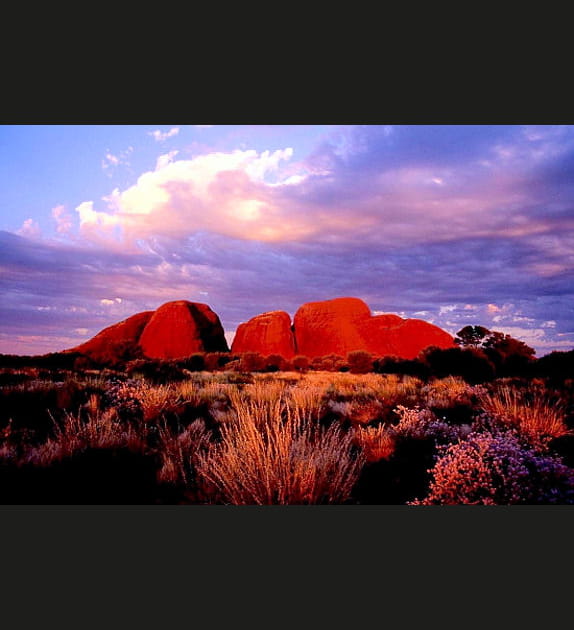 Le d&eacute;sert d'Alice Spring, Australie