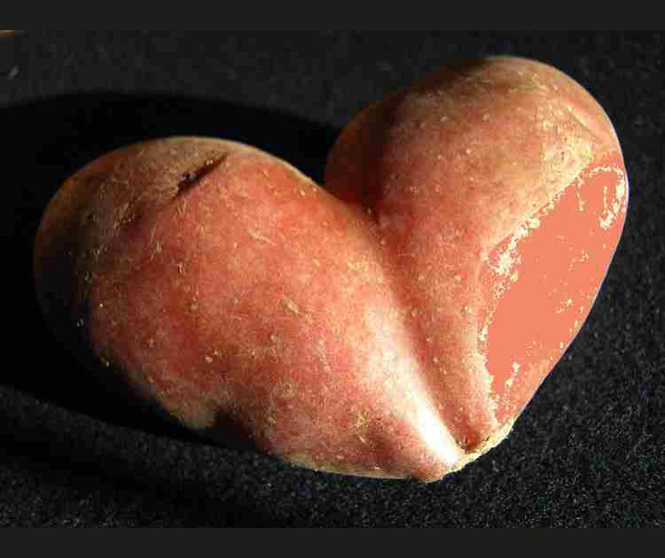 Coeur patate