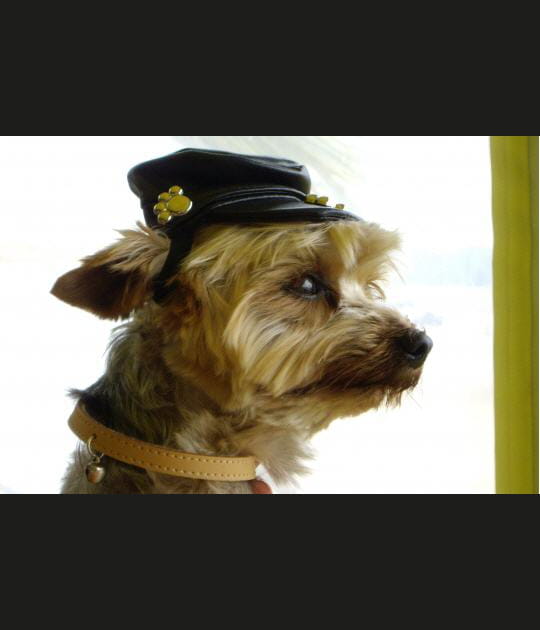 Riki dit &quot;Loulou B&eacute;cane&quot;