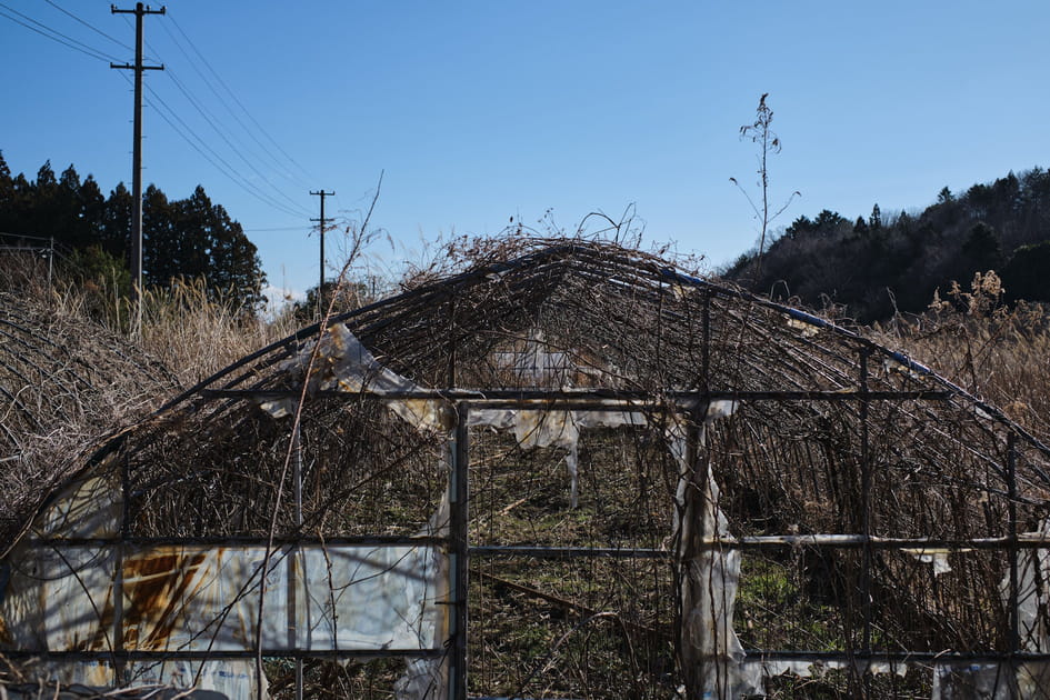 Le retour dans des villes en ruine, un &quot;traumatisme en plus&quot;