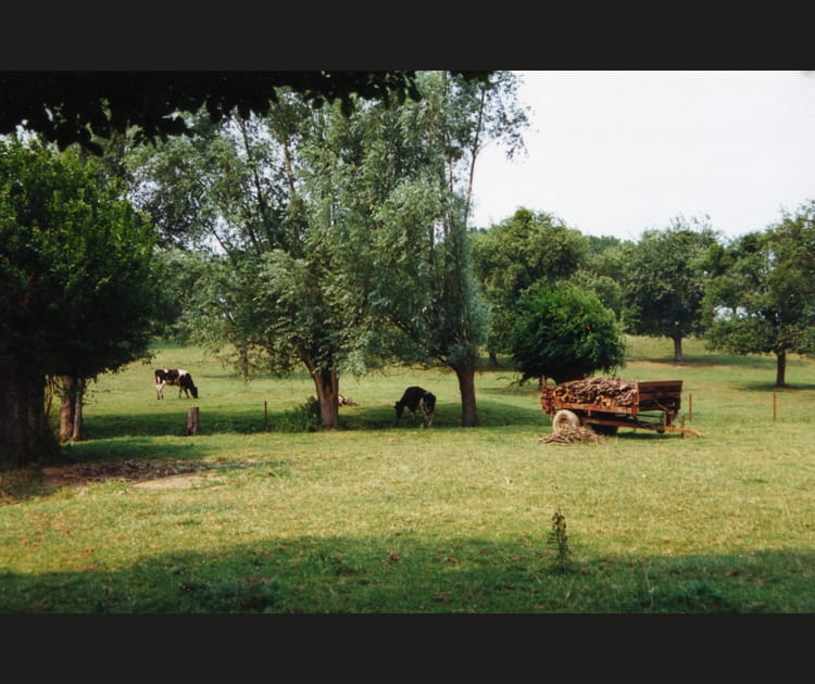Le Parc naturel r&eacute;gional de l'Avesnois