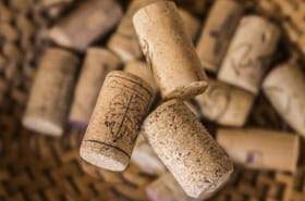 Ne le jetez plus&nbsp;: pourquoi un bouchon de li&egrave;ge dans le frigo fera des merveilles