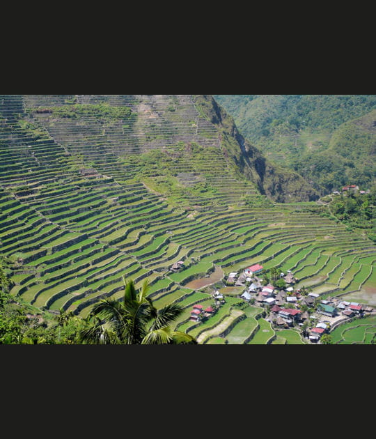 Rizi&egrave;res ancestrales de Batad