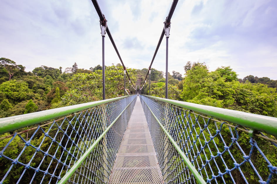 Se ressourcer au MacRitchie Reservoir