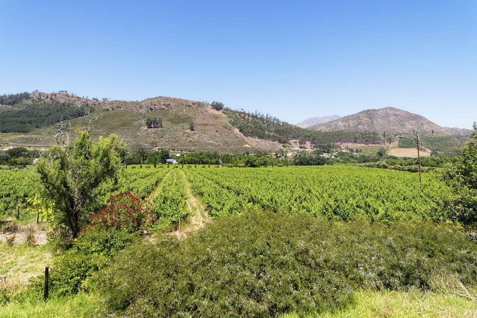 Franschhoek, en Afrique du Sud