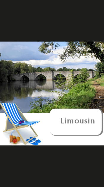 22. Limousin