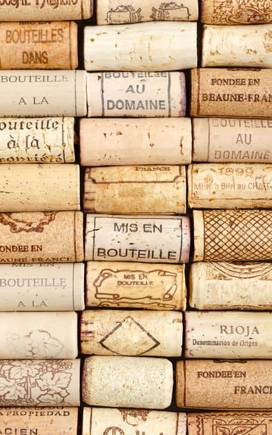 Quel est cet objet miracle qui emp&ecirc;che les fruits de pourrir dans la corbeille&nbsp;?