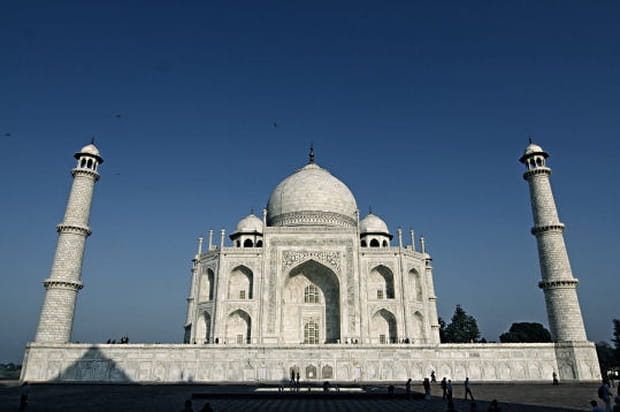 Un colosse tourné vers le ciel