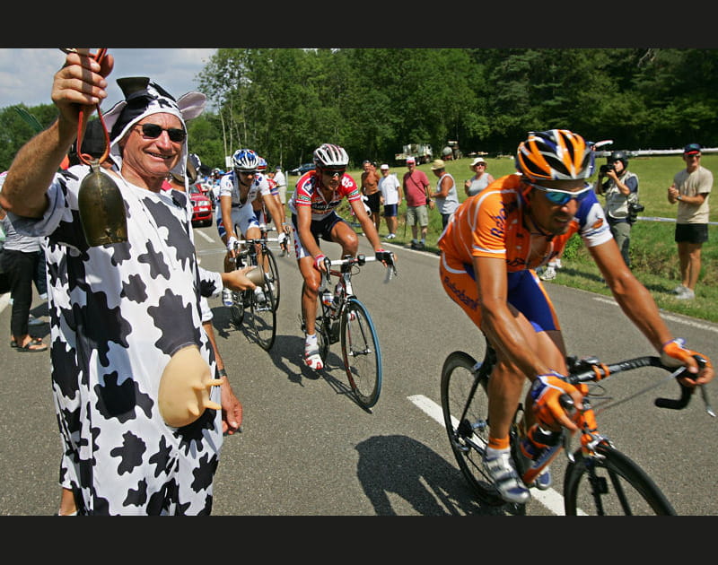 Vache folle