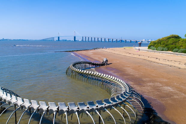 Saint-Brevin : les pins et l'océan