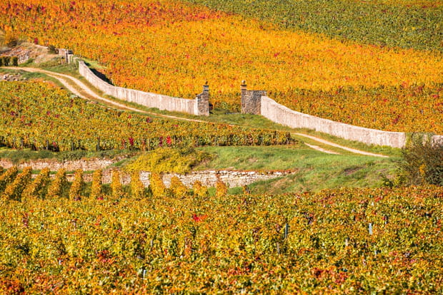 Les vignobles de Bourgogne