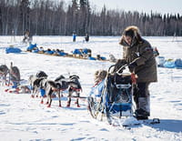 Iditarod, la dernière course de Nicolas Vanier