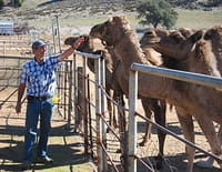 Les zarbis : A la ferme