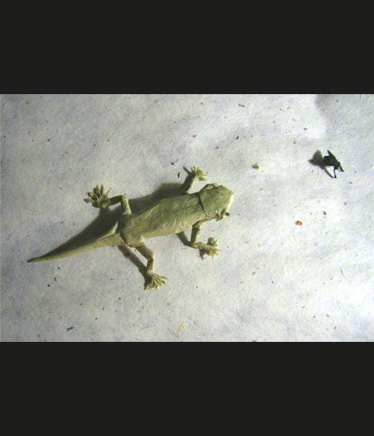 En chasse