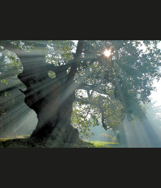 Mystique Bretagne