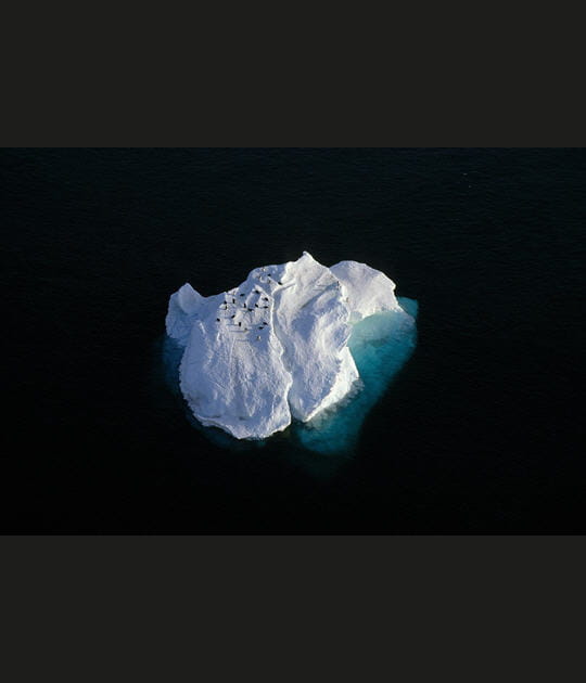 Antarctique&nbsp;: voyage au pays des manchots