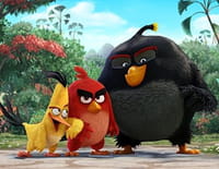 Angry Birds : le film