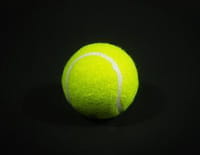 Tennis : Tournoi ATP de Vienne