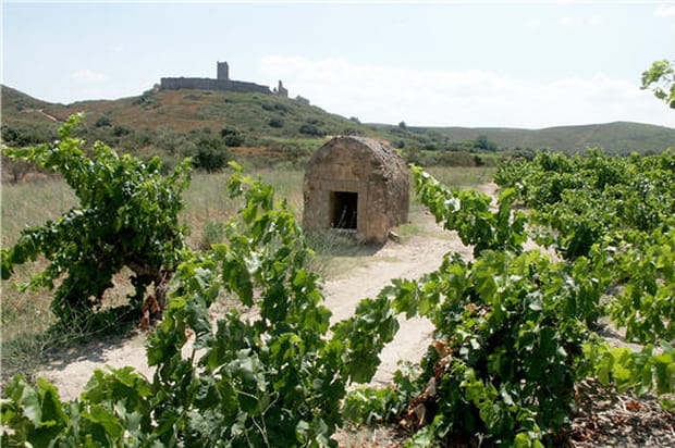 Le château du Castellas