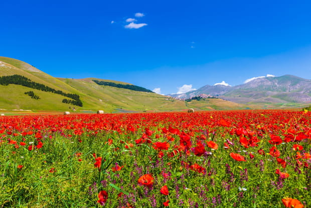 Le parc national des Monts Sibyllins