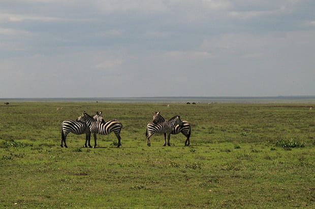 Les deux font la paire