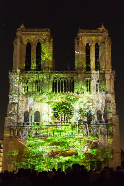 Le mystère de Notre-Dame
