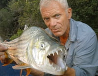 River Monsters : Les meilleurs moments (n°5) : Raies et requins tueurs