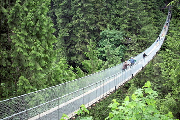 Le pont suspendu de Capilano, Vancouver