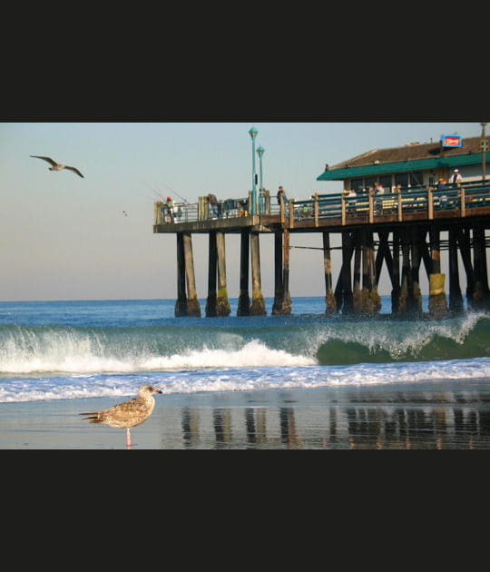 Redondo Beach, troisi&egrave;me &quot;cit&eacute;-plage&quot;