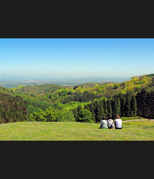 Panorama