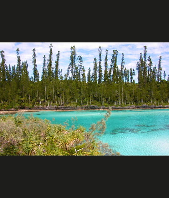 L'&icirc;le la plus proche du paradis