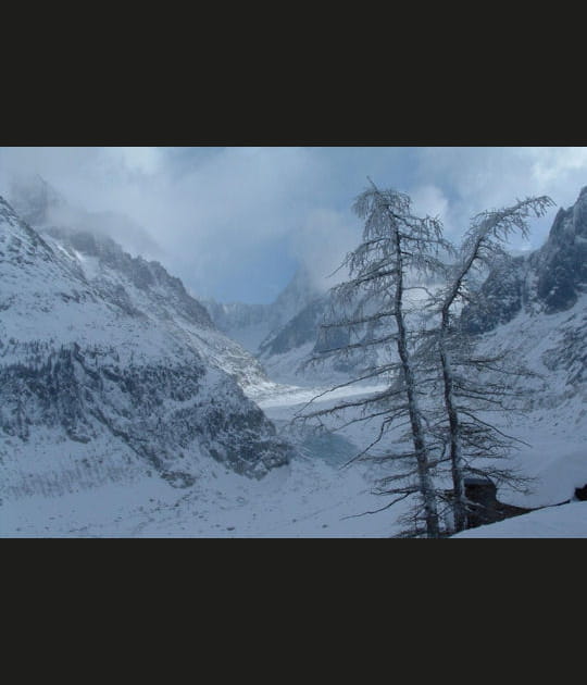 Balade en raquette sur le glacier de la Mer de Glace &agrave; Chamonix