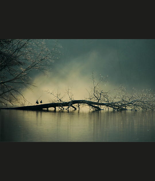 Douce brume
