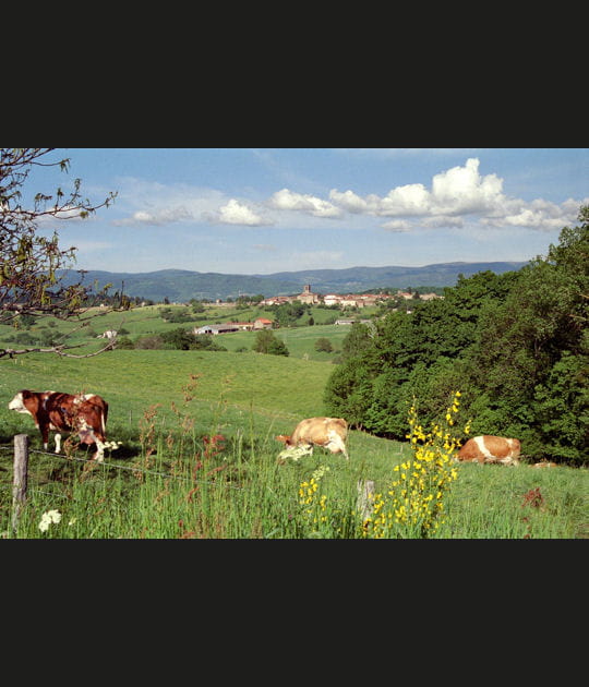 Le Parc naturel r&eacute;gional Livradois-Forez