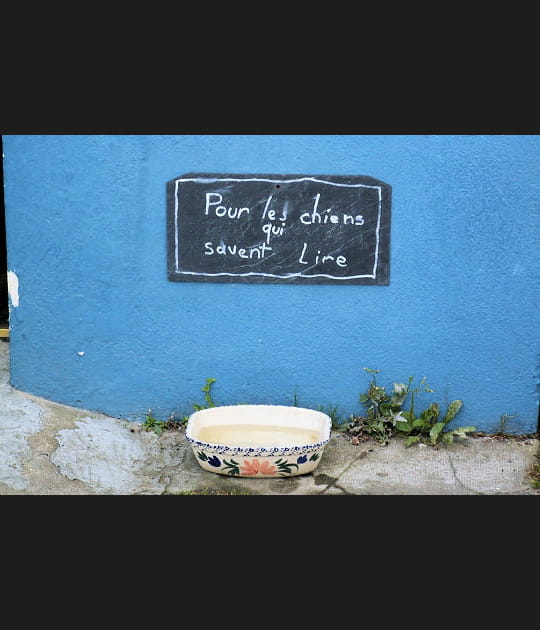 Pas si b&ecirc;tes