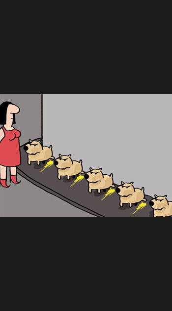 Cinq clones de chien pour cinq fois plus de c&acirc;lins&nbsp;?