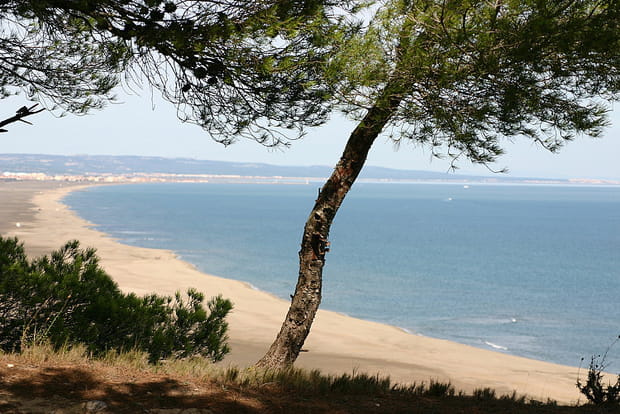 La Plage des Coussoules à La Franqui, Aude